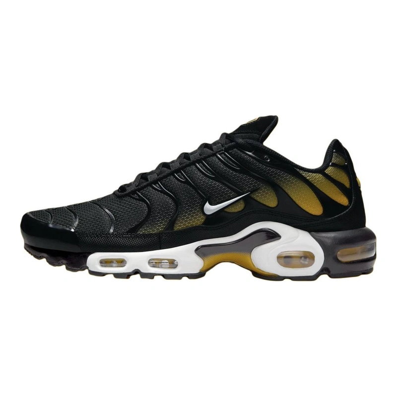 AMPDM0032-013