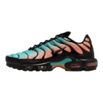 Nike Air Max Plus South Florida Fashion Comfortable Mesh Durable Low Top Running Shoes Unisex